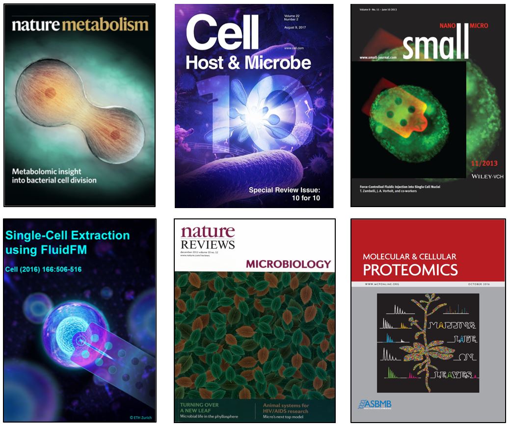 Enlarged view: Vorholt lab research publication cover images